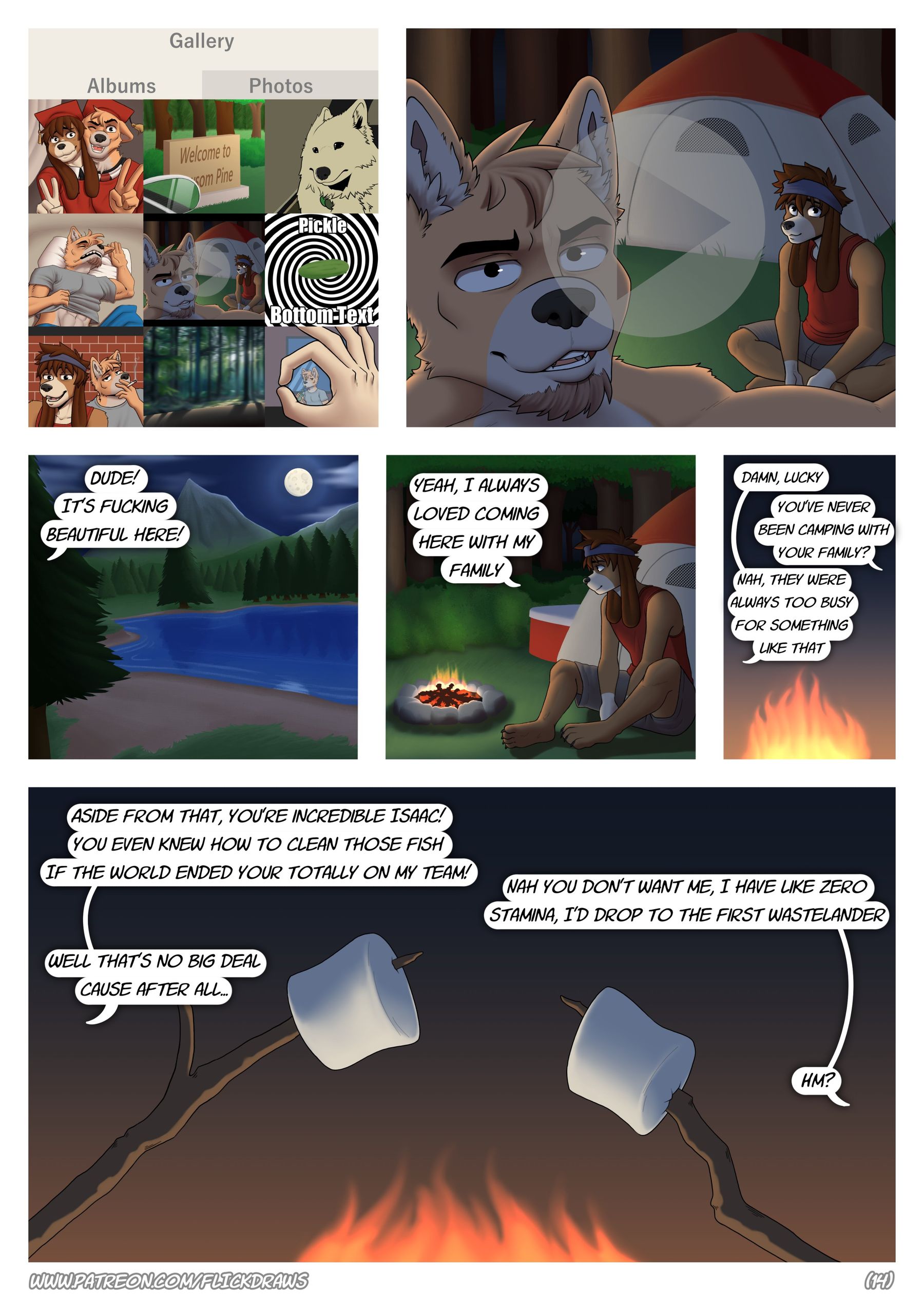 Page 14